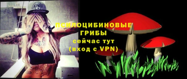 круглые Каменногорск