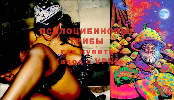 не бодяженный Жердевка