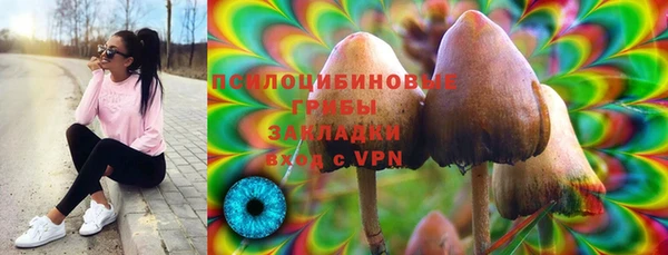 не бодяженный Жердевка
