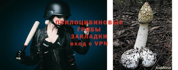 Альфа ПВП Карпинск