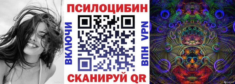 Псилоцибиновые грибы Psilocybine cubensis Мезень